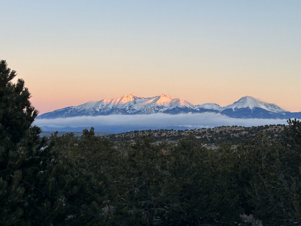 View of the Blanca Massif at sunrise from a backyard of pinon pine in the San Luis Valley. 