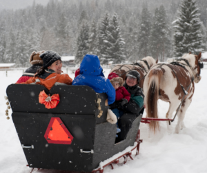 A family in a black sleigh is being led by two paint horses on a sleigh ride in the snow. 