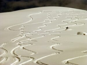 Fresh carves lines from skiers weaving across a snowy landscape.