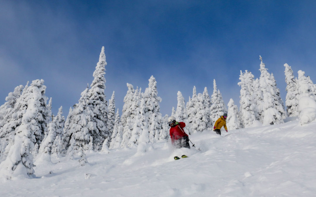 It’s January–Are the Steeps Open?