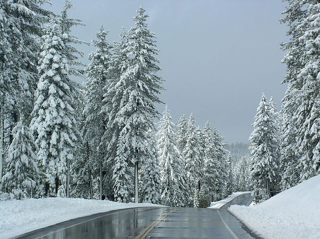 California’s Skiers’ Highway