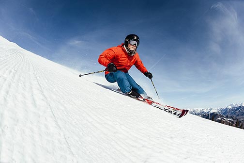 North America's Best & Long Groomers