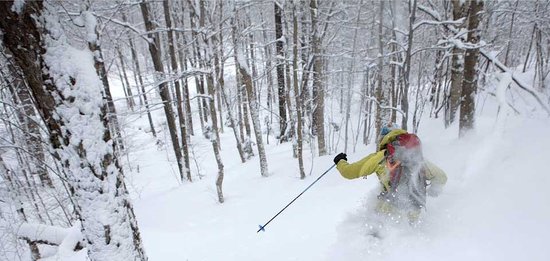 Mad River Glen, VT–Where Skiing is a Sport Not an Industry