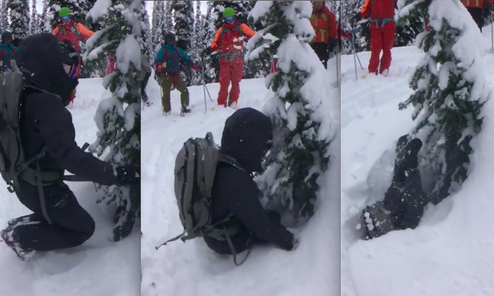 Tree Well Immersion Can Happen At Resorts Too